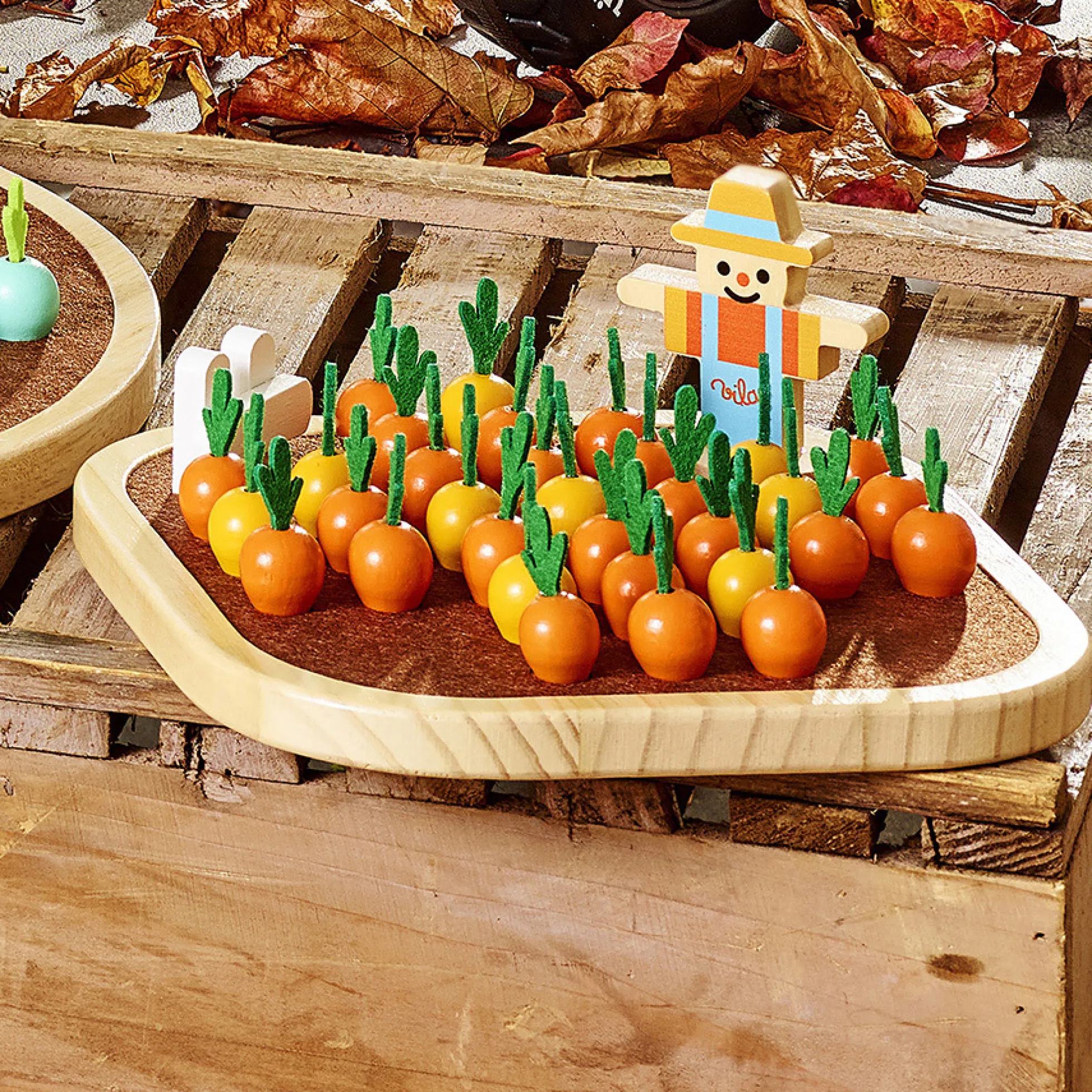 Le solitaire du potager - Jour de récolte