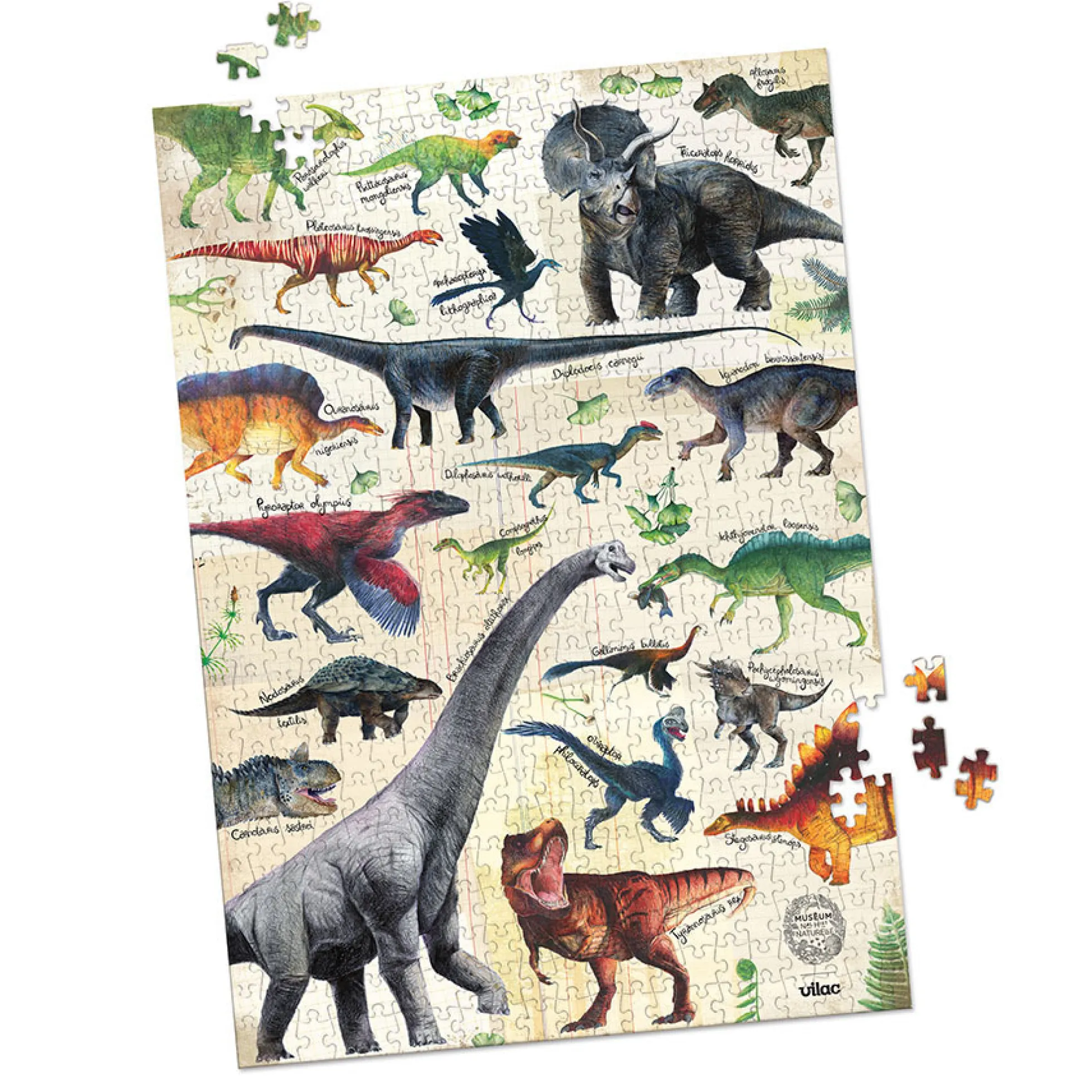 Puzzle dinosaures 500 pièces - Muséum national d'Histoire naturelle