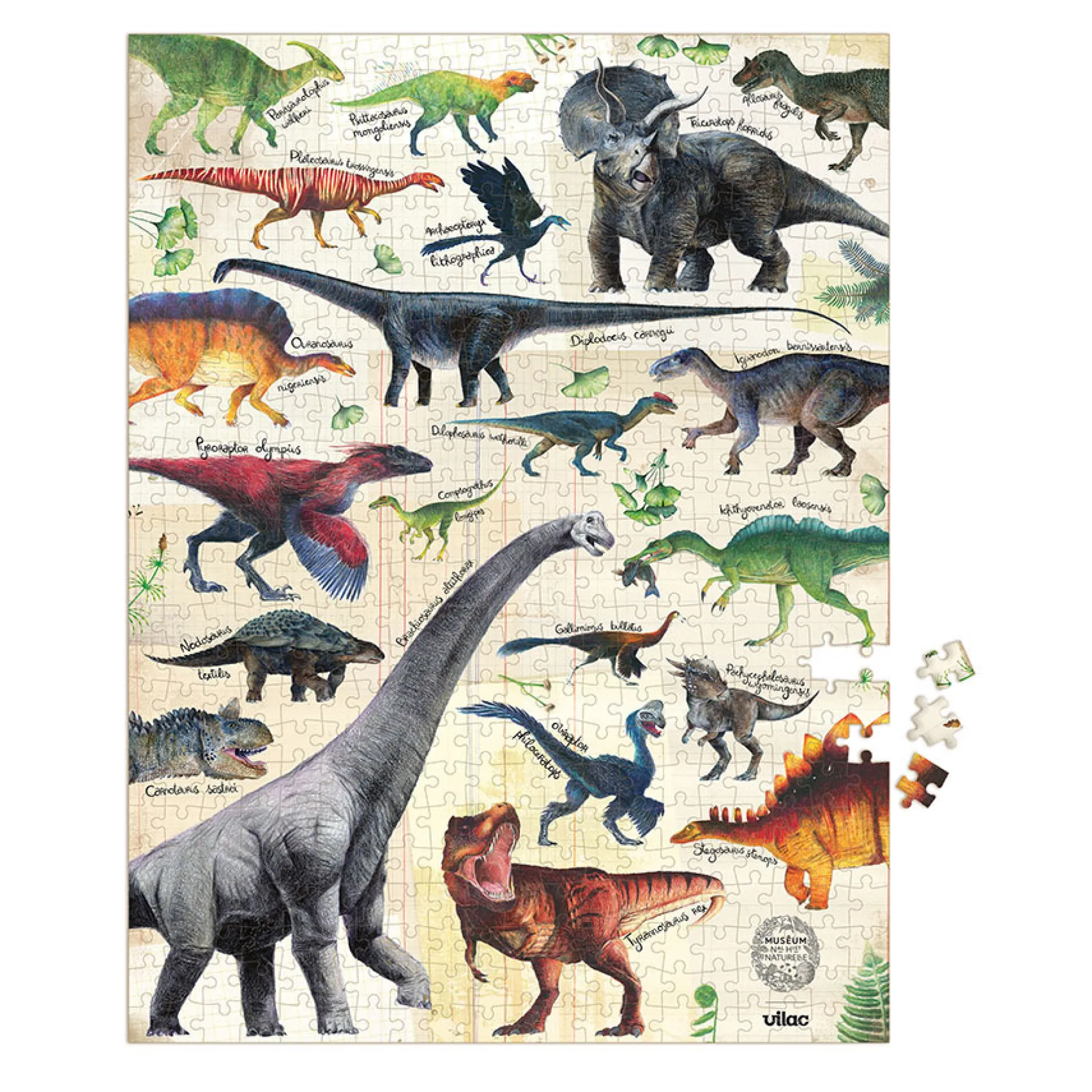 Puzzle dinosaures 500 pièces - Muséum national d'Histoire naturelle