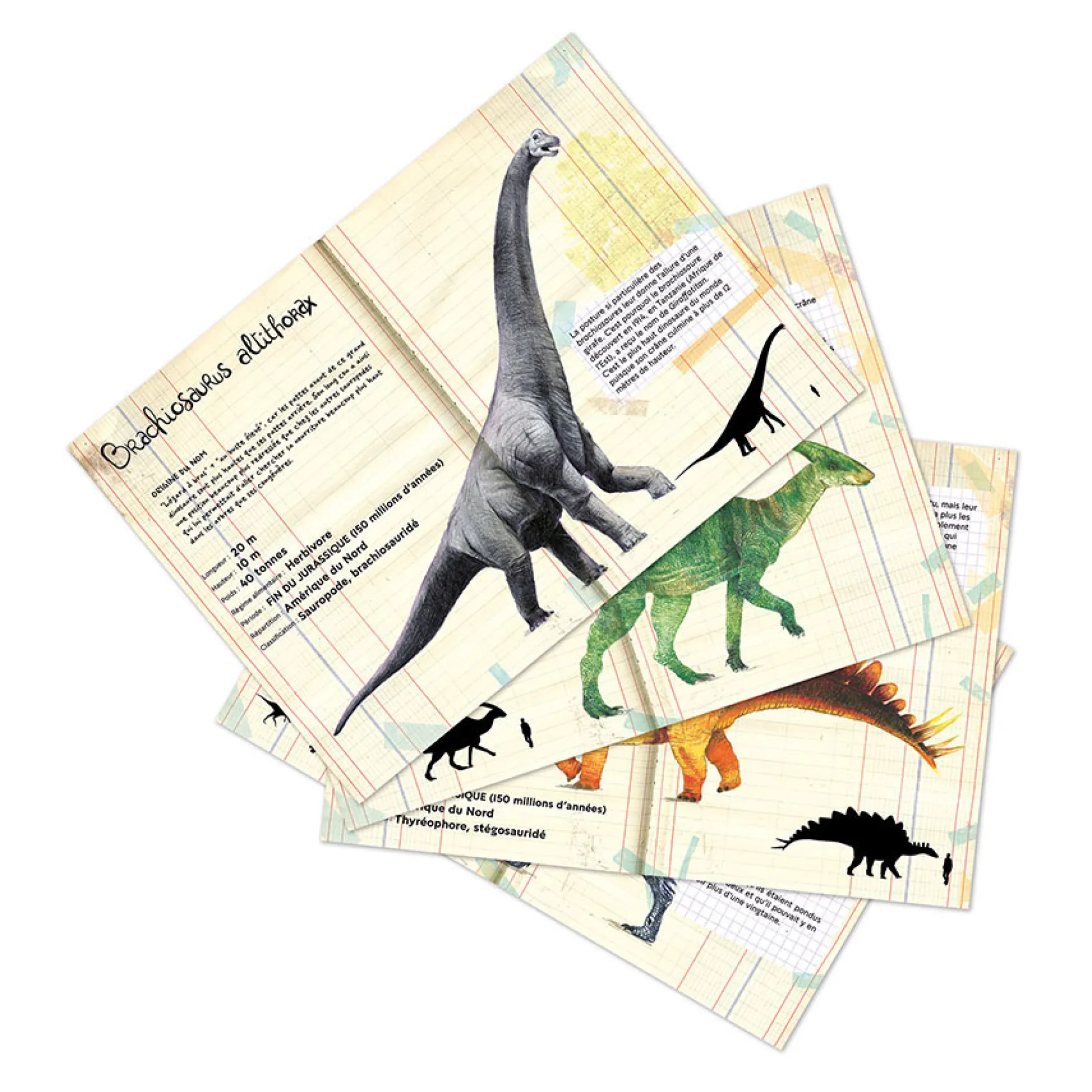 Puzzle dinosaures 500 pièces - Muséum national d'Histoire naturelle