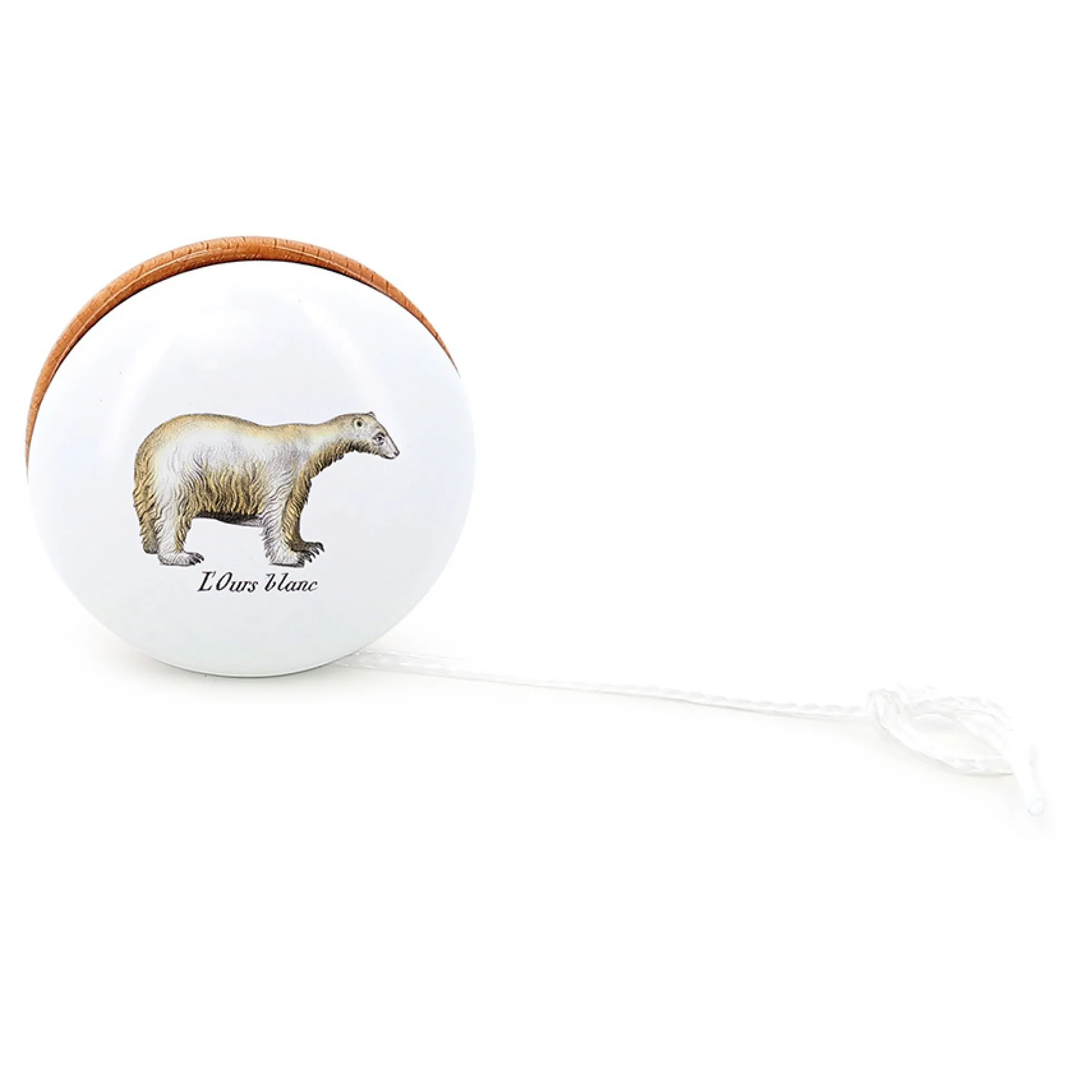 Yoyo ours blanc - Muséum national d'Histoire naturelle